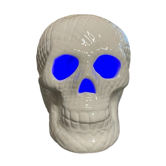 Color Changing Light-Up LED Skull - Picture 9 of 9